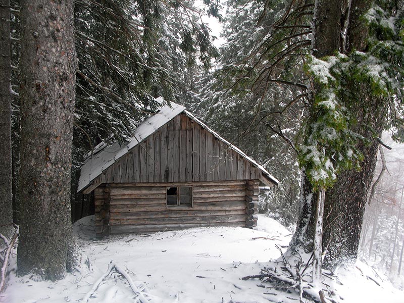 zwieselberg